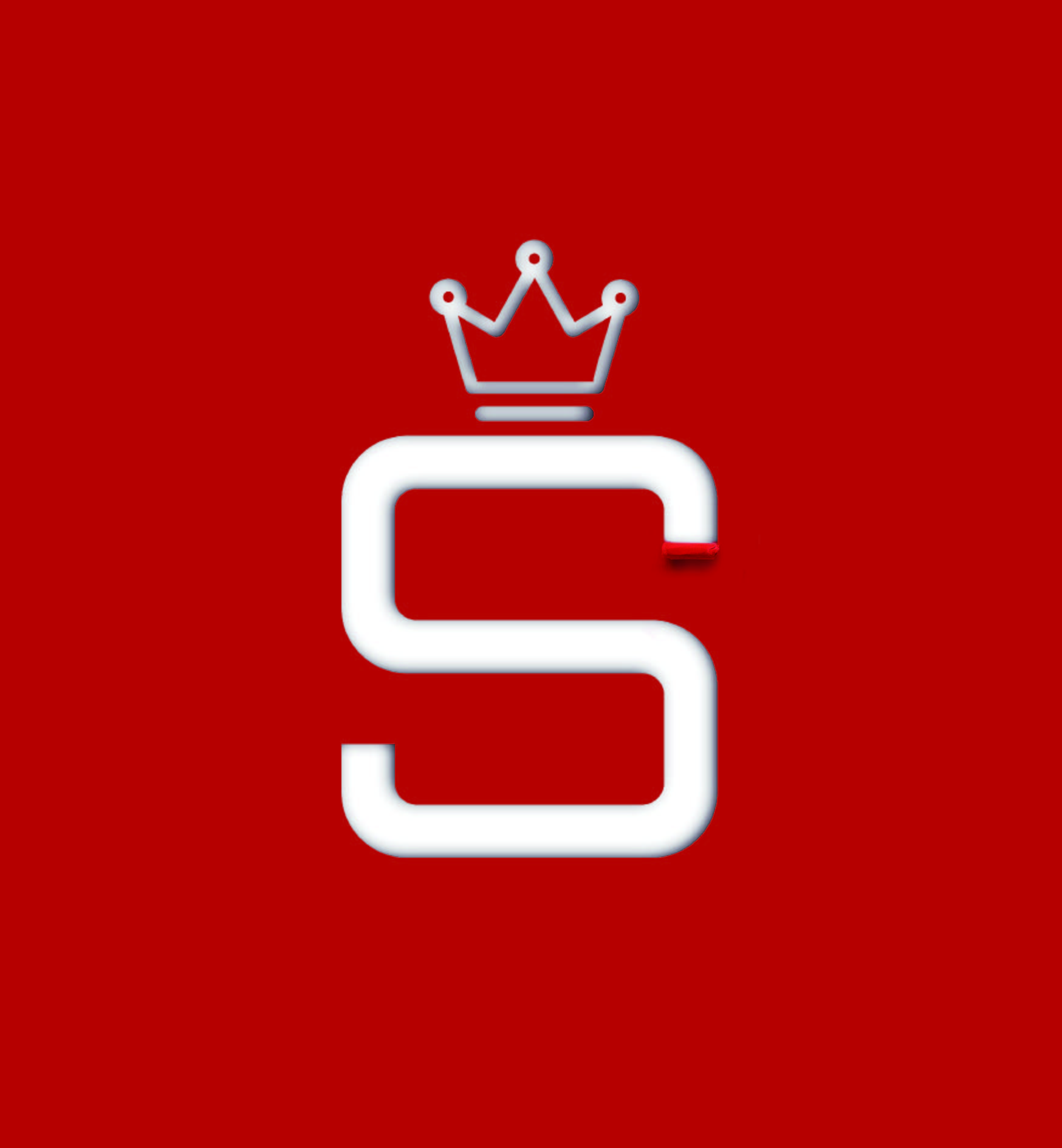 S級高(gāo)品質灰鴨絨