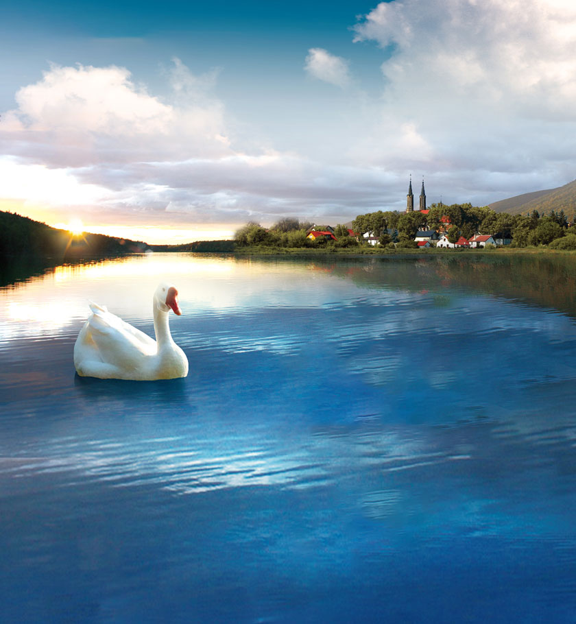 波蘭科(kē)魯達白(bái)鵝絨