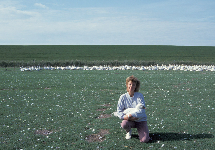 勞倫茨家(jiā)族和(hé)品牌的(de)故事(shì)