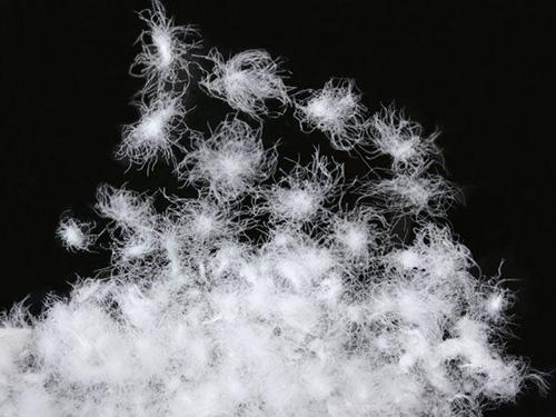 1582437433227005urjy.jpg 1582437433227005urjy.jpg