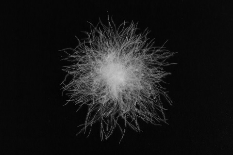 羽絨品質哪家(jiā)好(hǎo)？羽絨生(shēng)産廠(chǎng)家(jiā)大羽集團有限公司帶你(nǐ)了(le)解一(yī)個(gè)很(hěn)重要(yào)的(de)指标：蓬松度