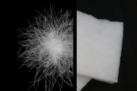 羽絨和(hé)羽絨棉的(de)區(qū)别你(nǐ)知(zhī)道(dào)嗎(ma)？