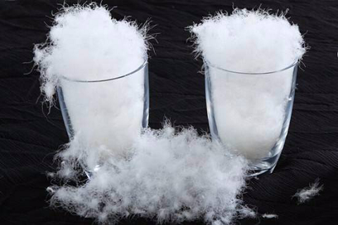 90白(bái)鴨絨和(hé)80白(bái)鴨絨到(dào)底是(shì)什(shén)麽概念