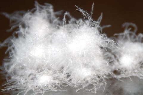 90白(bái)鴨絨和(hé)80白(bái)鴨絨羽絨服的(de)區(qū)别是(shì)什(shén)麽？