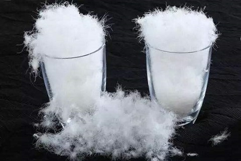 白(bái)鴨絨和(hé)白(bái)鵝絨的(de)區(qū)别