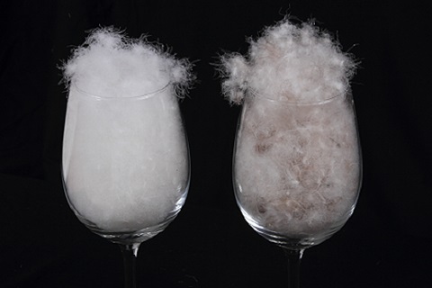 白(bái)鵝絨與灰鵝絨的(de)區(qū)别？