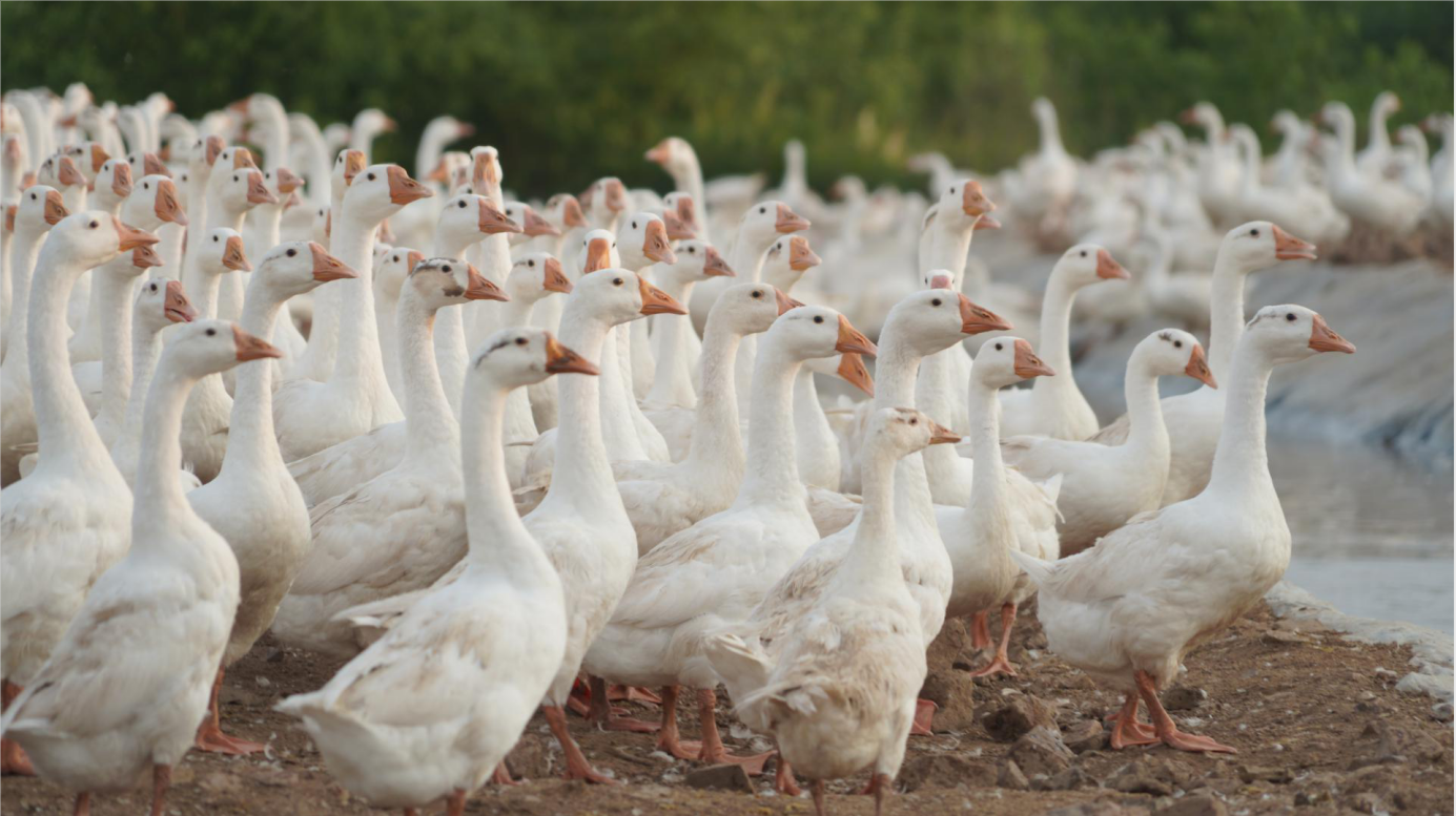 15948826905116888jCG.png 15948826905116888jCG.png