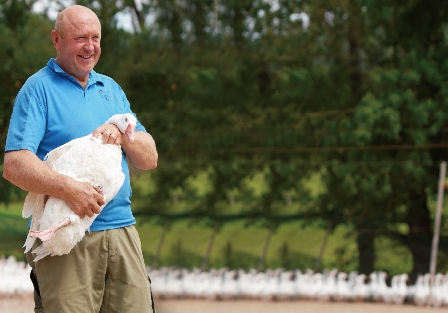 甄源 ·捷克 白(bái)鵝絨